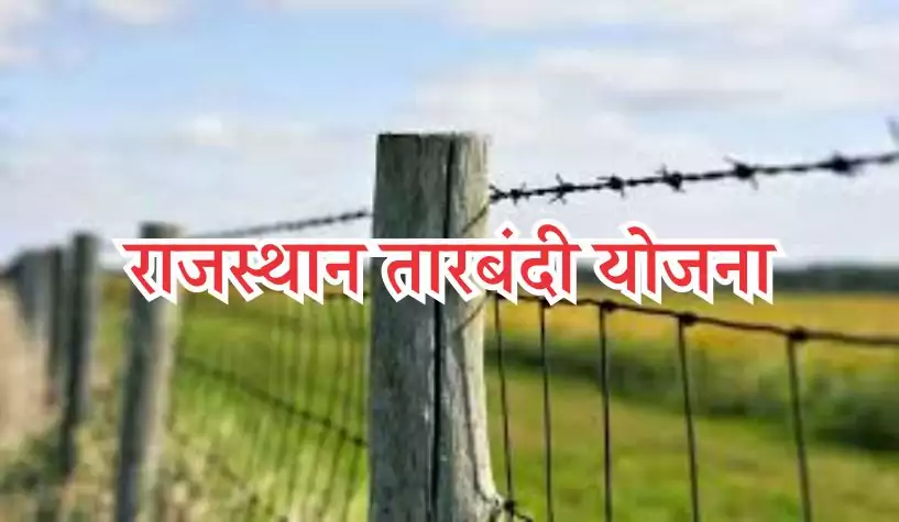 Rajasthan Tarbandi Yojana: Farmers should get barbed wire fence installed in the fields on 50 percent subsidy, know the complete process of application